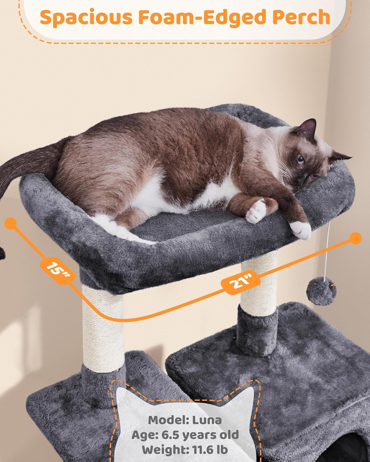 Large Multi-Level Cat Tree