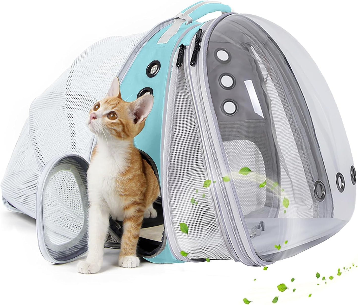 Dual Expandable Polarized Cat Backpack Carrier