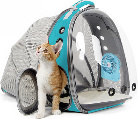 Cat Travel Backpack