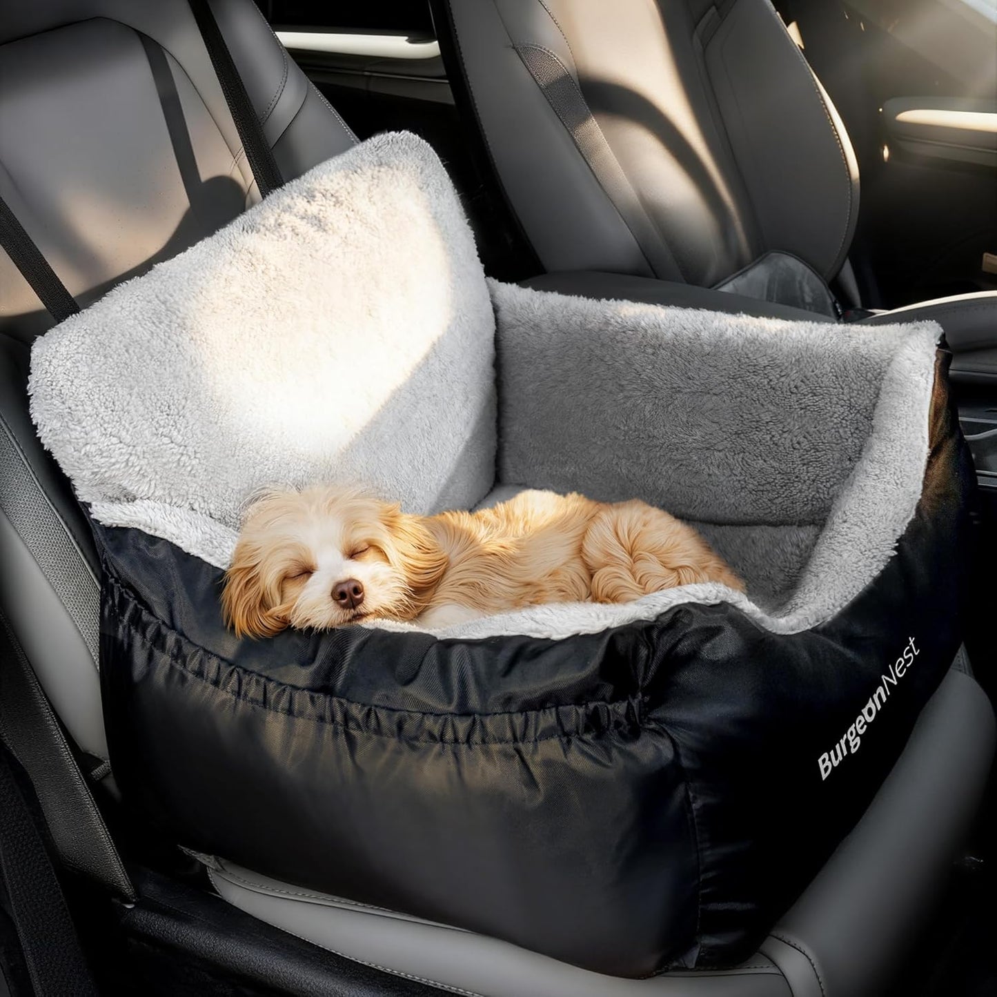 Dog Car Seat For Small Dogs