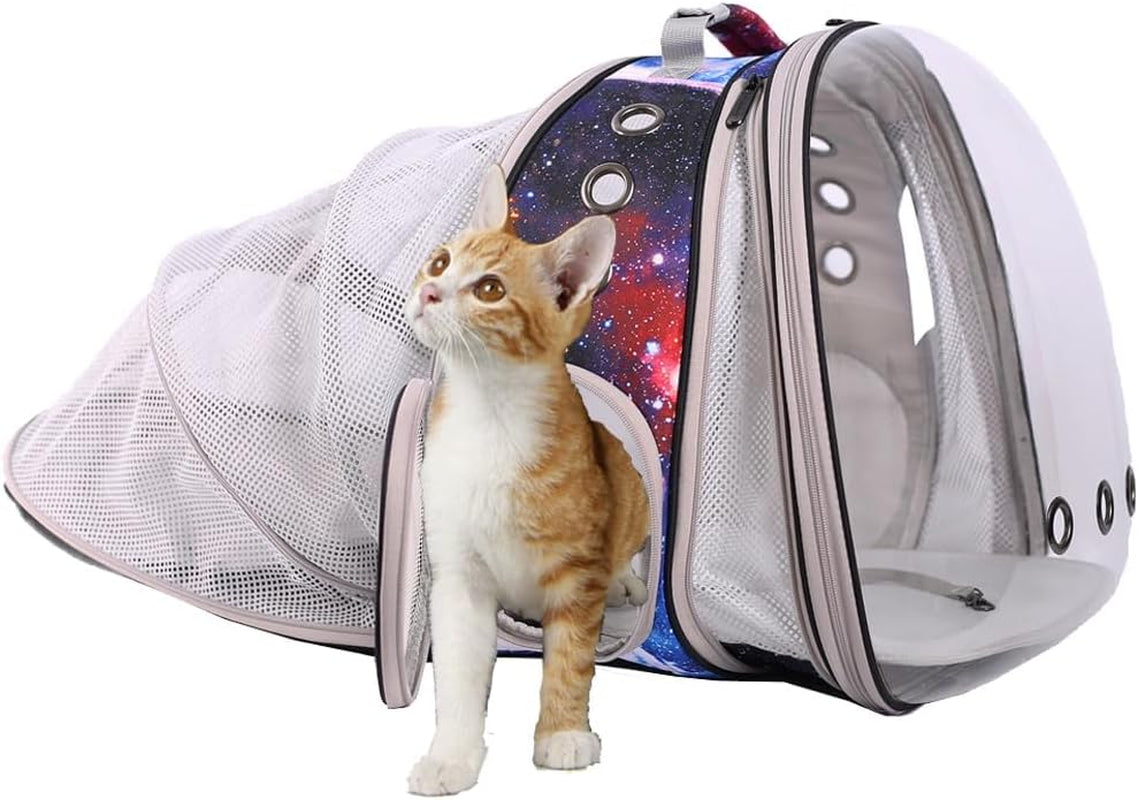 Dual Expandable Polarized Cat Backpack Carrier