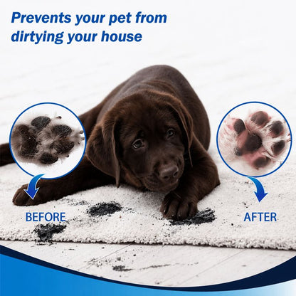 CleanPaws Washer