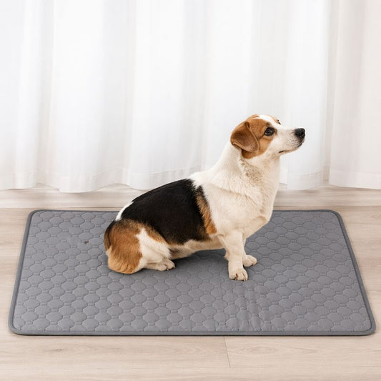 CleanPaws Pee Mat