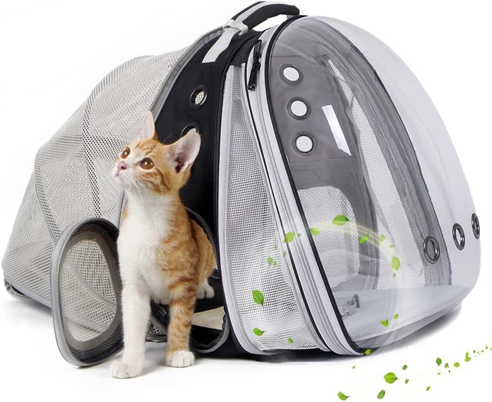 Dual Expandable Polarized Cat Backpack Carrier