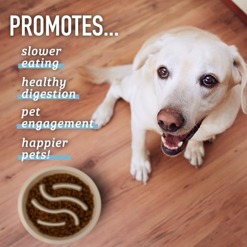 Slow Feeder Dog Bowls