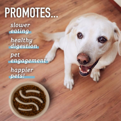 Slow Feeder Dog Bowls