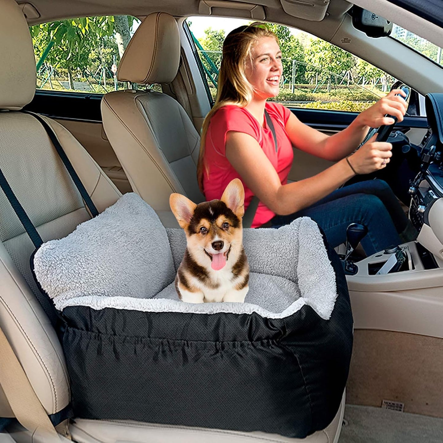 Dog Car Seat For Small Dogs