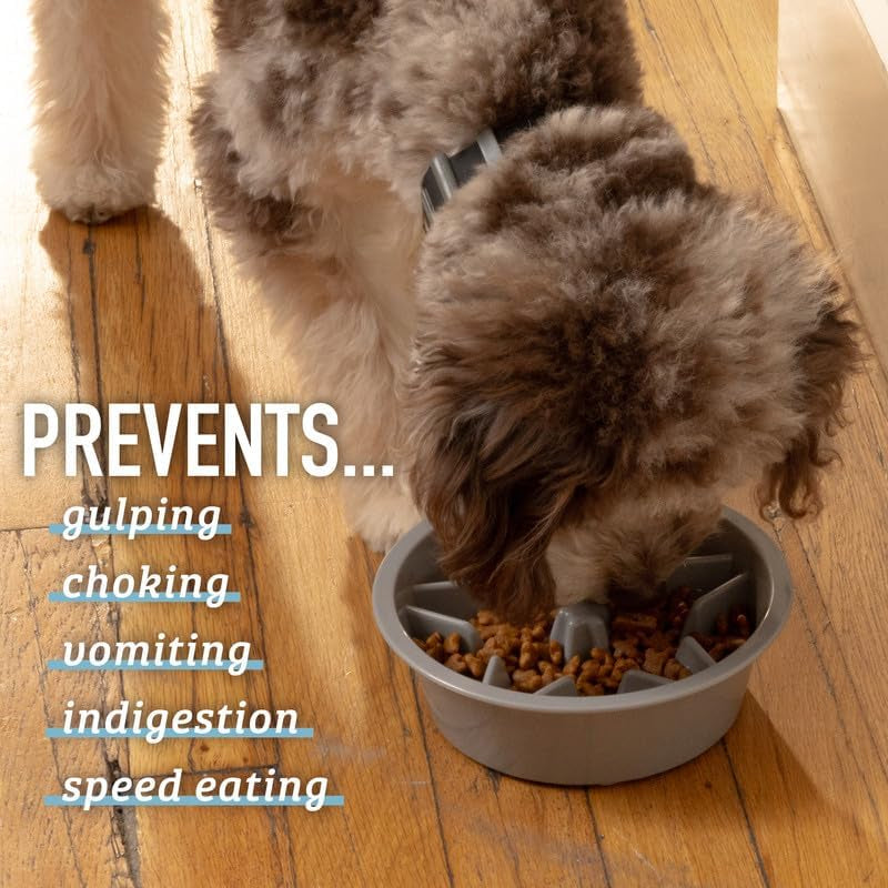 Slow Feeder Dog Bowls