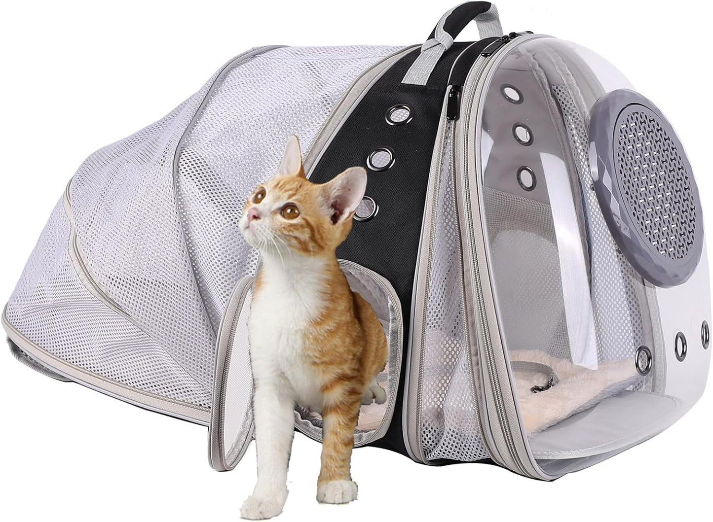 Dual Expandable Polarized Cat Backpack Carrier