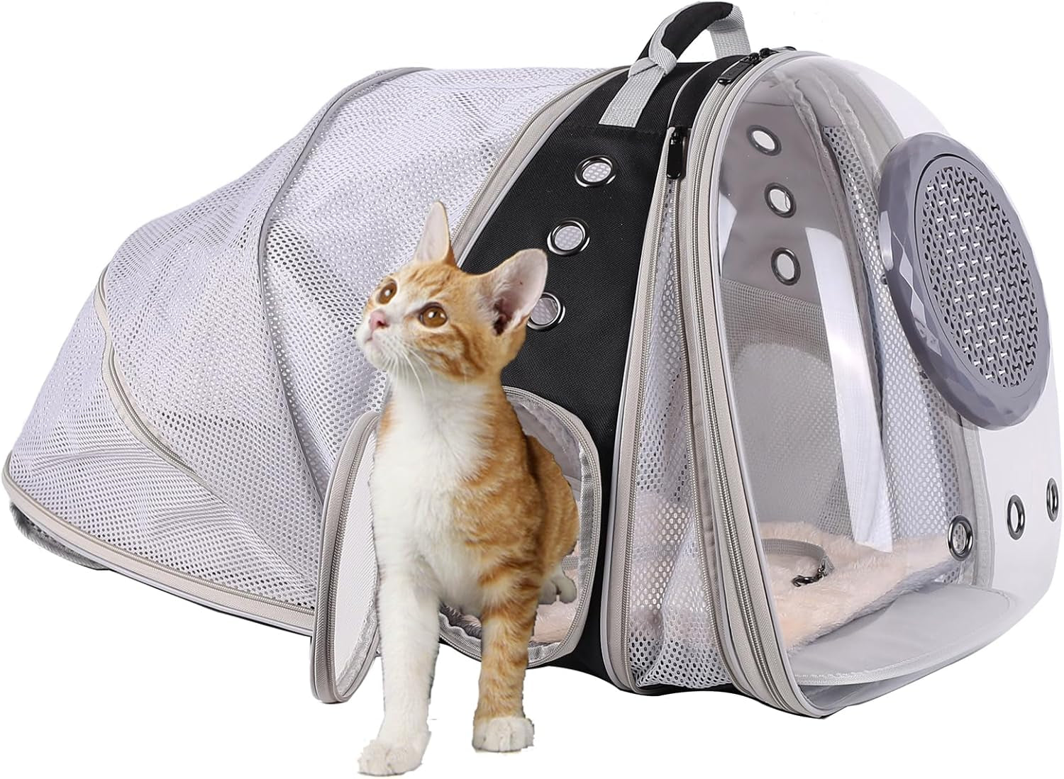 Dual Expandable Polarized Cat Backpack Carrier