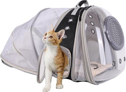 Dual Expandable Polarized Cat Backpack Carrier