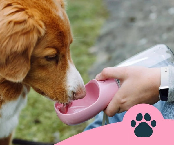 19 Oz Pink Portable Dog Water Bottle with Bowl Leakproof Pet on the Go Water Dispenser Great for Outdoor Hiking Travel, 550Ml, 1 Count